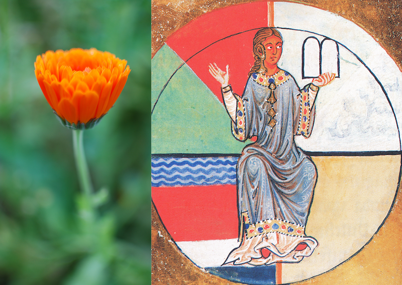 Dialog_mit_Hildegard_Disibodenberg